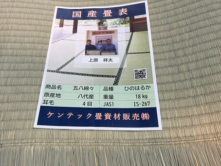 国産綿々表 R7.5.12