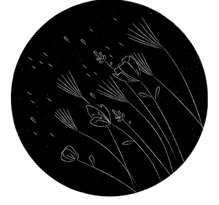 First Light New (dragged) 5.png