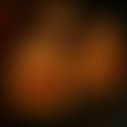 Today's Orange Theory Workout Intel – Wednesday 11/19/25 2G