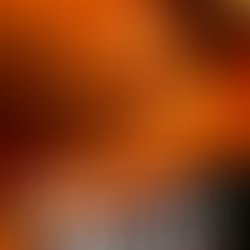 Today's Orange Theory Workout Intel – Wednesday 12/3/25 2G - 12 Days of Fitness #3 