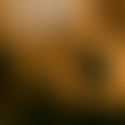 Today's Orange Theory Workout Intel – Tuesday 12/9/25 2G - 12 Days of Fitness #9