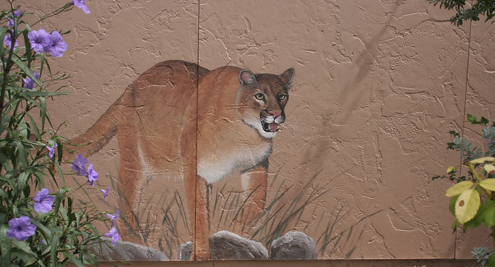 Mountain Lion mural