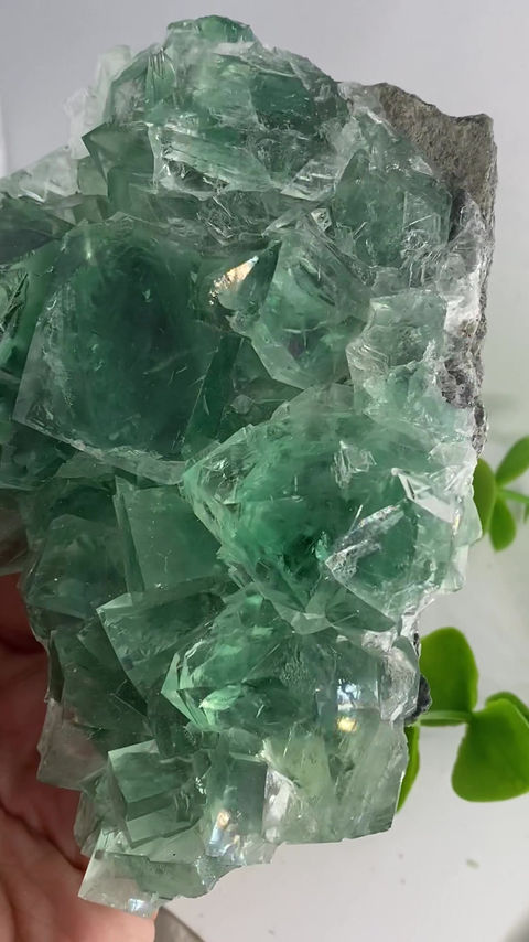 Thumbnail: Yaogangxian Fluorite (highest quality fluorite)