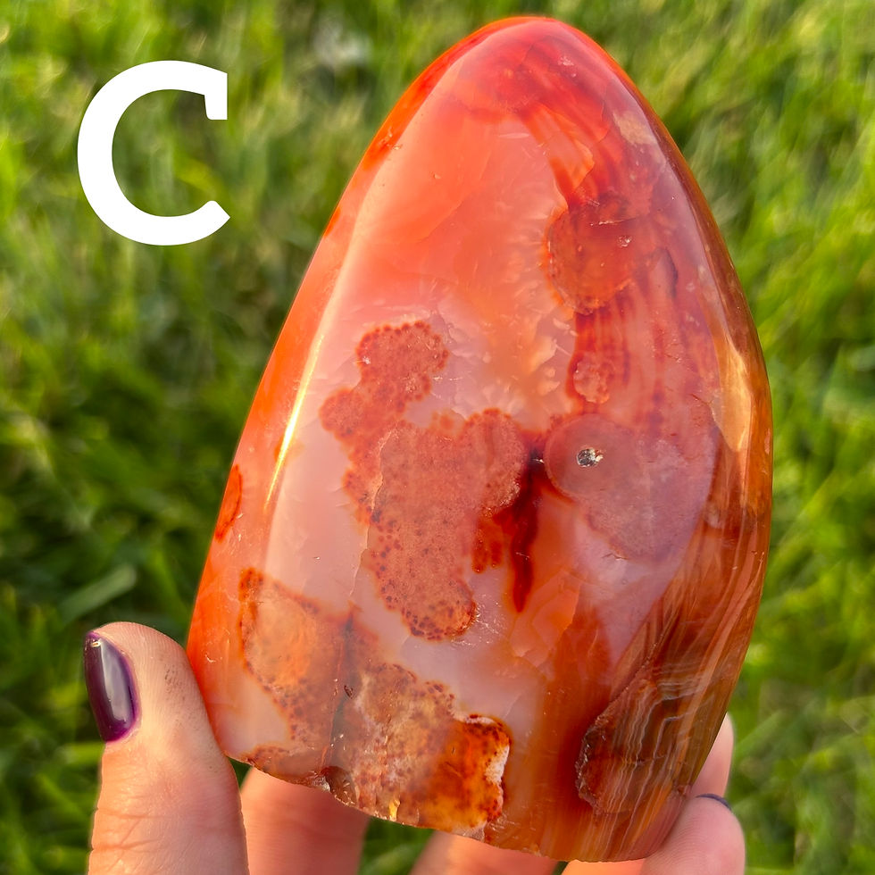 ภาพขนาดย่อ: Carnelian Freeform (HQ)