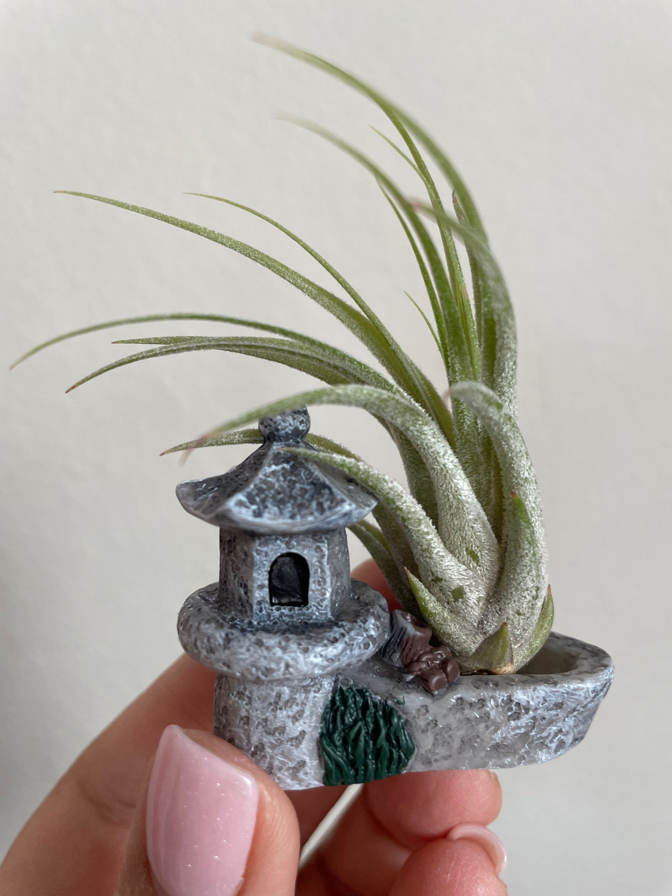 Zen Aire 1.0