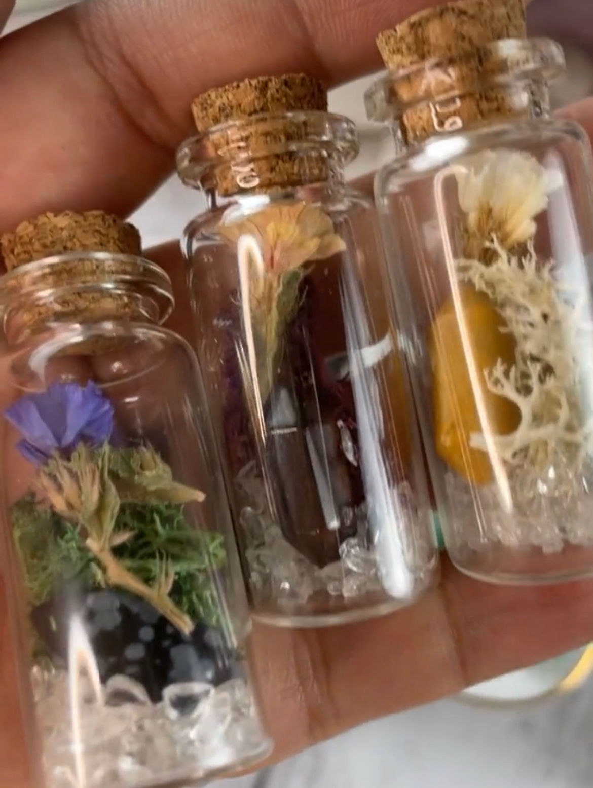 Mini Geminaire Garden
