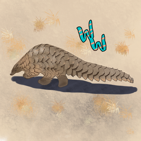 Pangolins!