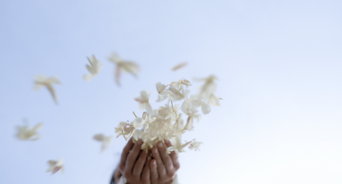 Capture d’écran 2023-01-17 à 15.55.06.png