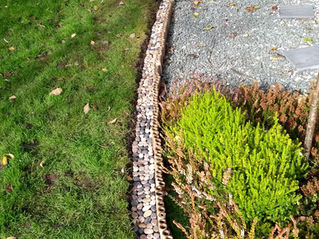 Edging the lawn