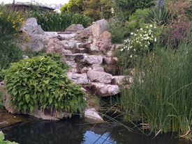 Southsea Rock Gardens