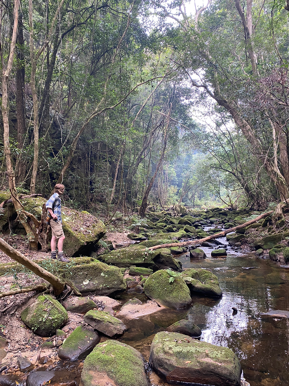 Nomadic Bushcraft Immersion 6-Days