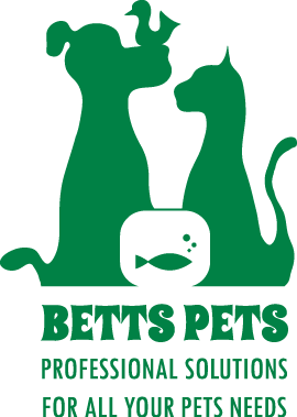 More on Making a Living Off of Bet big, win big with Vivi’s unbeatable odds and offers