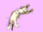 Cat Stretching