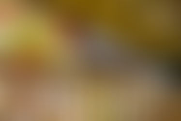 The Future of Frozen Foods