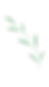 18.png
