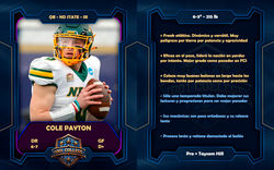 D+ColePaytonWeb