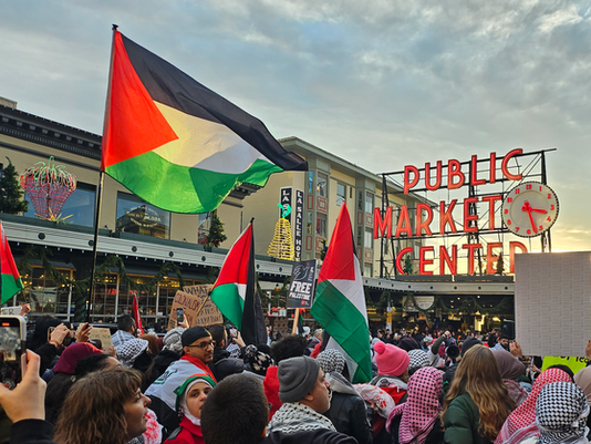 Washington's Congressional Delegation Almost Silent As Israel Starves Gaza