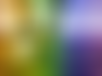 Seattle World Cup Game Will Be Gay As Hell, Despite Complaints From Egypt And Iran