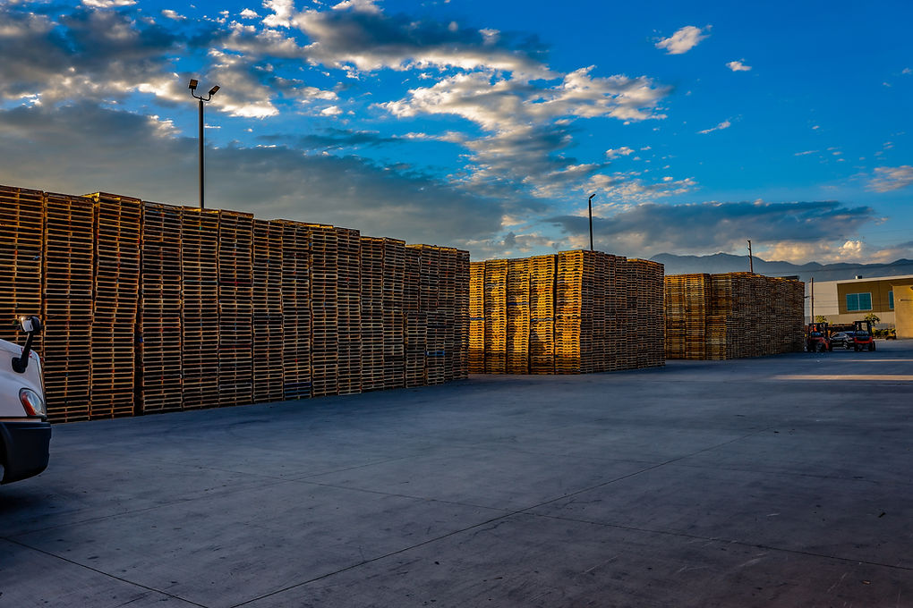 prro mojojojo (188).jpg