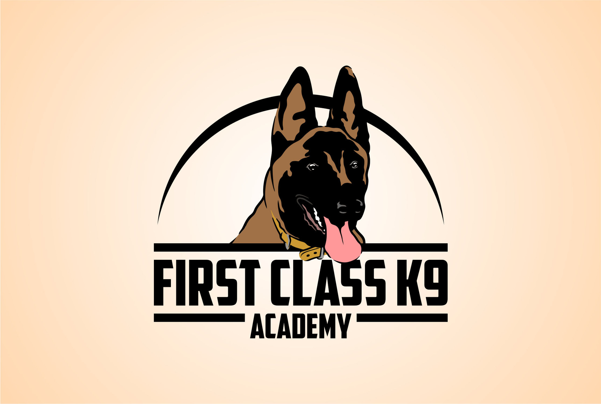 Aggressive Dog Training Orlando First Class K9 Academy
