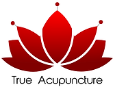 True Acupuncture Logo