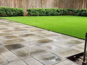 The Role of Drainage in a Healthy Yard (Even with Turf)