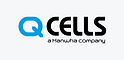 Q Cells
