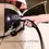 Thumbnail: Lectron Level 1 EV Charger