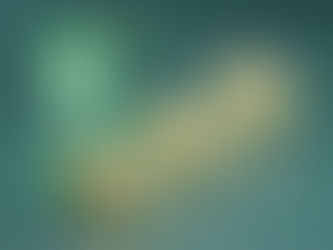 The Reality of Utility Management in Shared Homes