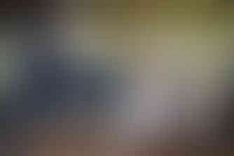 bridal party in front of fig tree