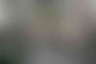 bride and groom walking hand in hand in forrest