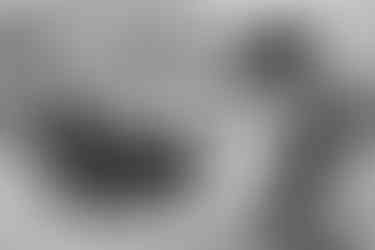 Wedding couple posing with vintage Cadillac at DV Cider Darraweit Guim orchards