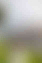 Couple sunset wedding portraits Melbourne city