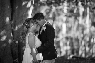 bride and groom in front of fig tree