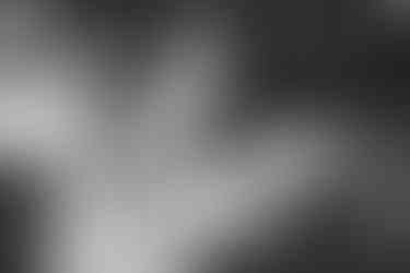 Intimate close-up of bride and groom embracing in Treasury Gardens.