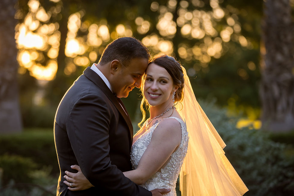 Wide angle view of a Melbourne garden wedding venue with natural light