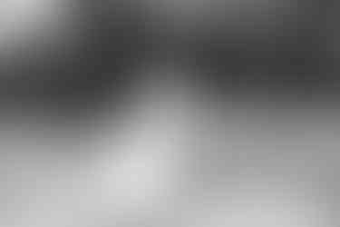 Bride and groom golden hour portraits at DV Cider Darraweit Guim orchards