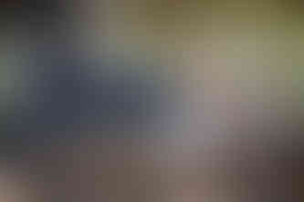 bridal party in front of fig tree