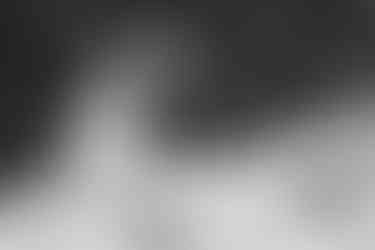 Wedding party group photo Melbourne city wedding