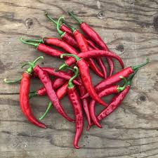 Plants de piments forts