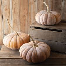 Citrouilles et courges d'hiver