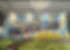 image00002.jpeg