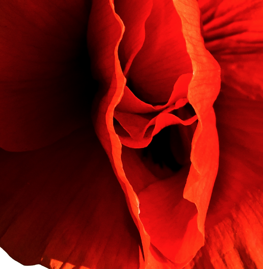 Design sem nome (1)_edited.png