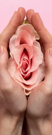 rejuvenescimentointimo