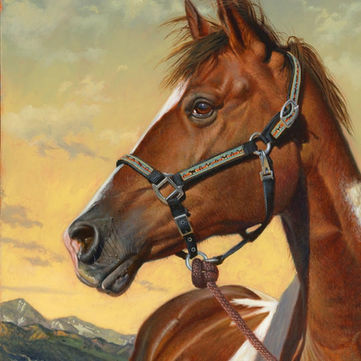 Equine