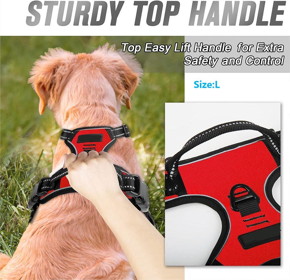 Miniatura: No Pull Dog Harness Front Clip Heavy Duty Reflective Easy Control Handle for Lar