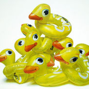 Tas de canards, huile sur toile, 180X216cm, 2008