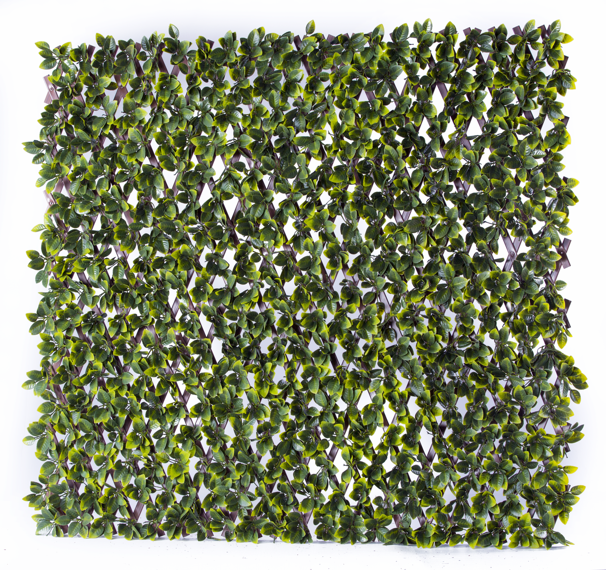 Muro Inglês - Jardim