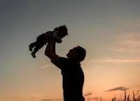 OBSERVAÇÕES FAMÍLIA 1