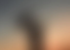 OBSERVAÇÕES FAMÍLIA 1